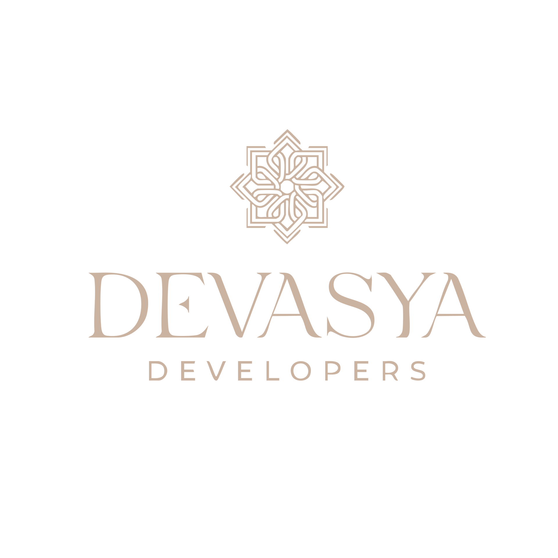 DevasYaDevelopers.com | Real Estate Developer Website built with React, Next.js, GSAP